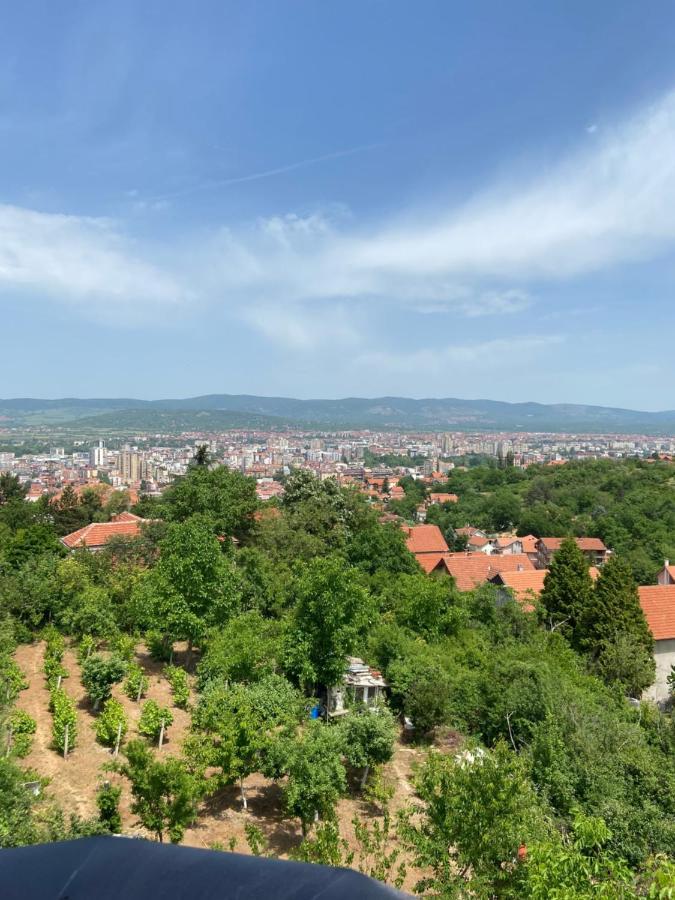 Garni Hotel Panorama Lux นิส ภายนอก รูปภาพ